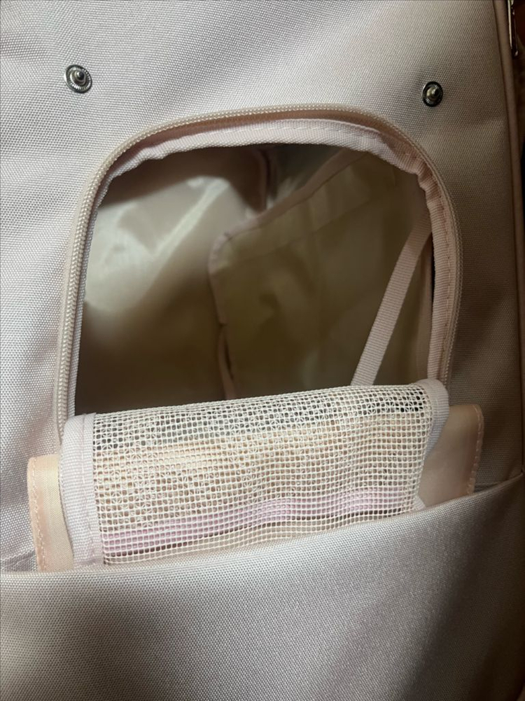 강아지 이동가방 백팩 핑크 이미지