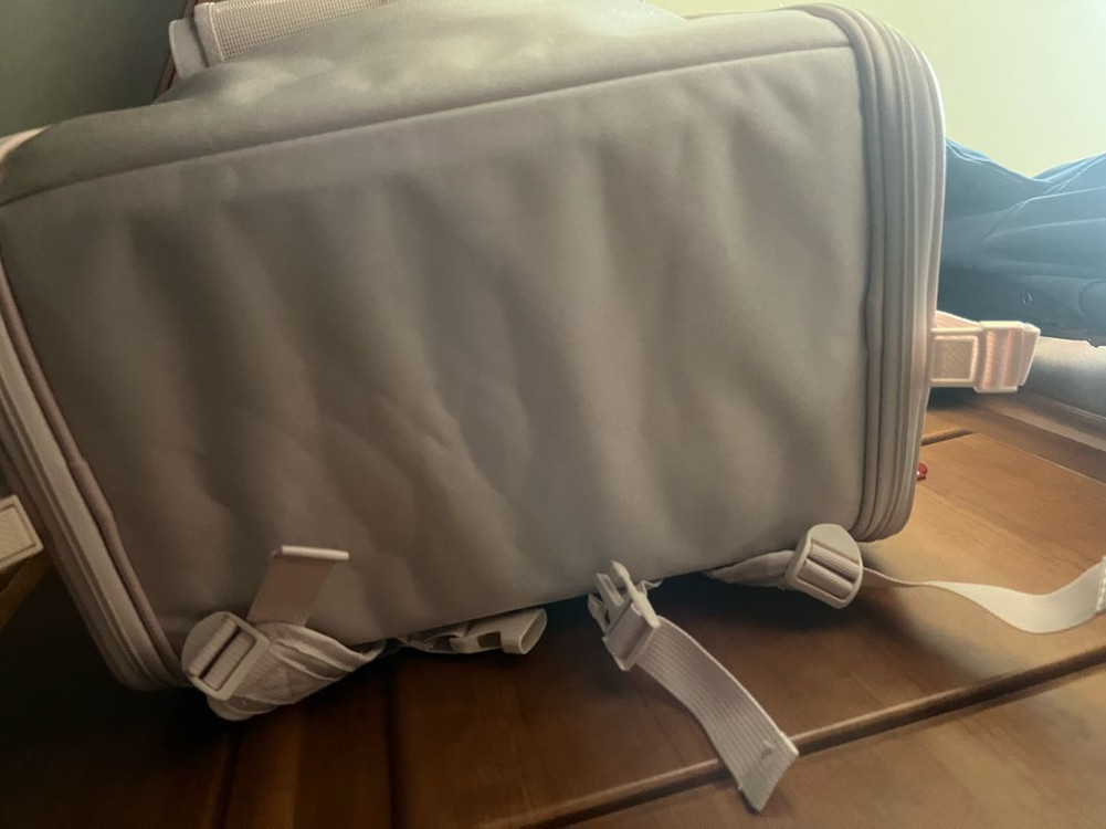 강아지 이동가방 백팩 핑크 이미지