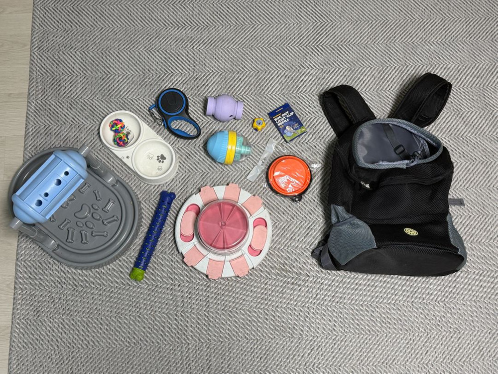 강아지 용품 11종 세트(노즈워크 장난감 리드줄 가방 밥그릇 물통 버그아웃 등) 이미지