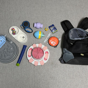 강아지 용품 11종 세트(노즈워크 장난감 리드줄 가방 밥그릇 물통 버그아웃 등) 이미지