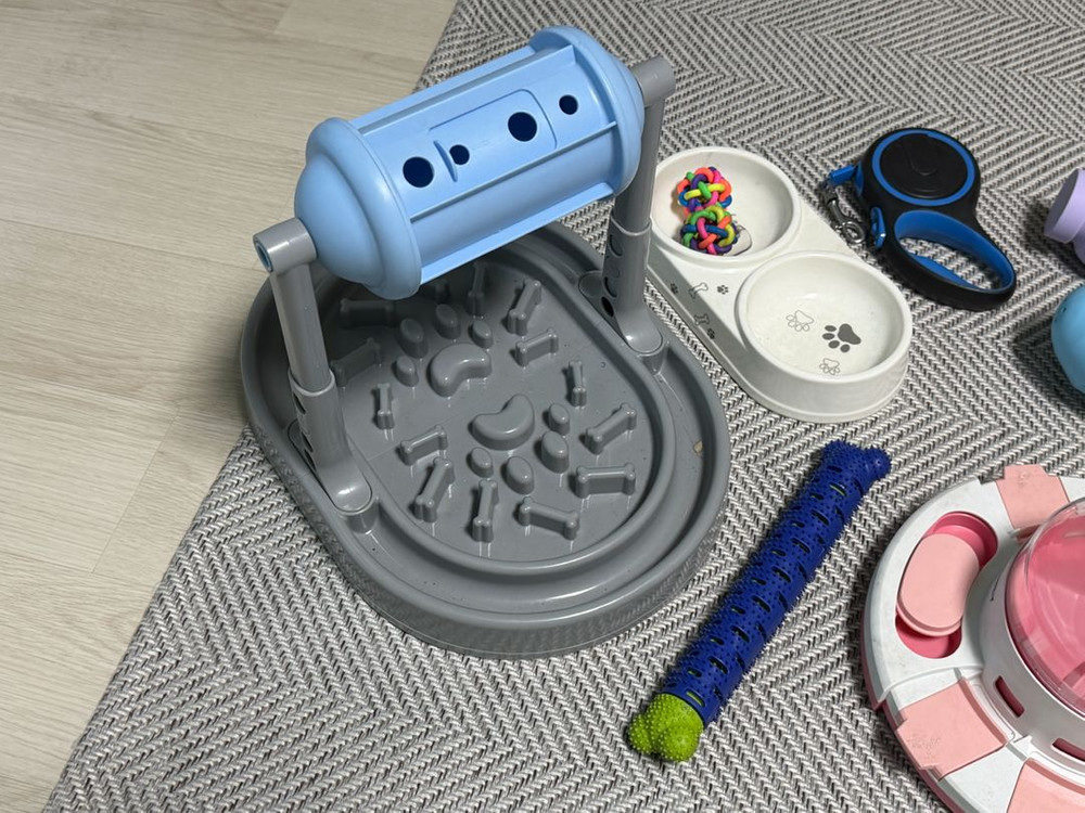 강아지 용품 11종 세트(노즈워크 장난감 리드줄 가방 밥그릇 물통 버그아웃 등) 이미지