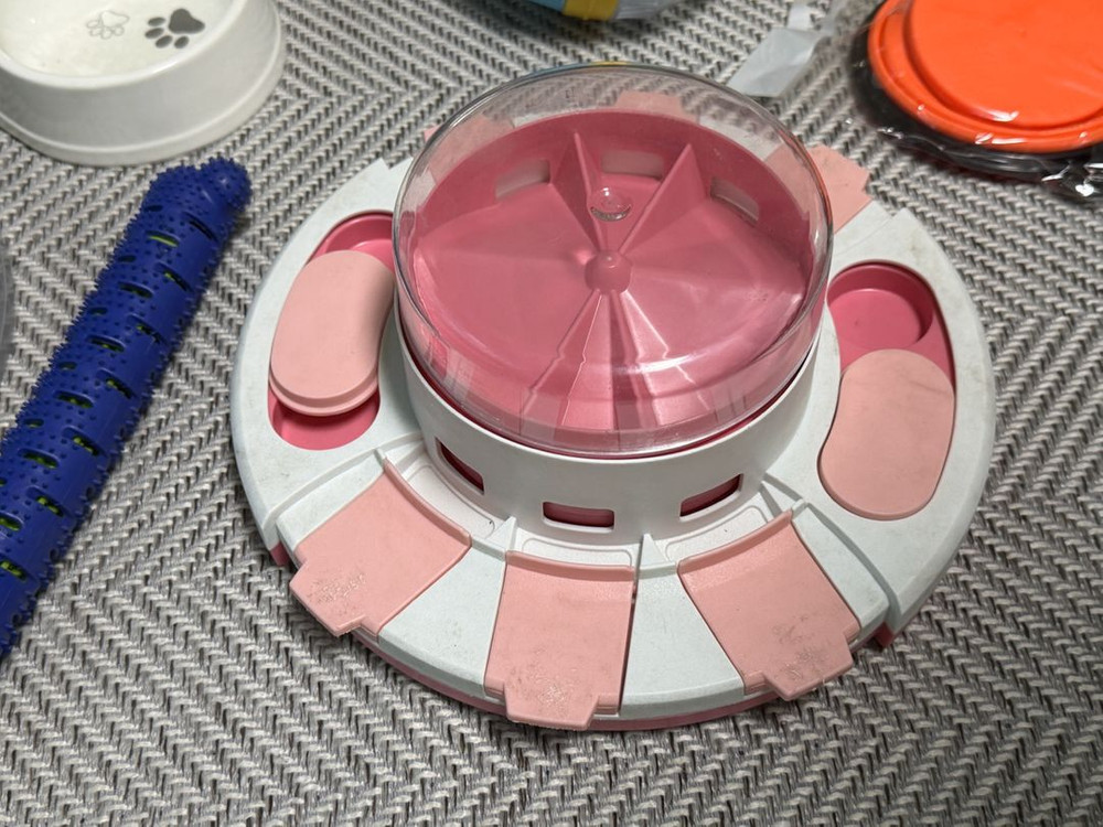 강아지 용품 11종 세트(노즈워크 장난감 리드줄 가방 밥그릇 물통 버그아웃 등) 이미지