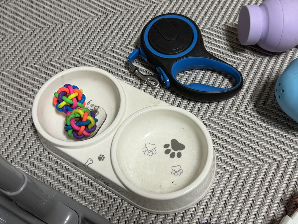 강아지 용품 11종 세트(노즈워크 장난감 리드줄 가방 밥그릇 물통 버그아웃 등) 이미지