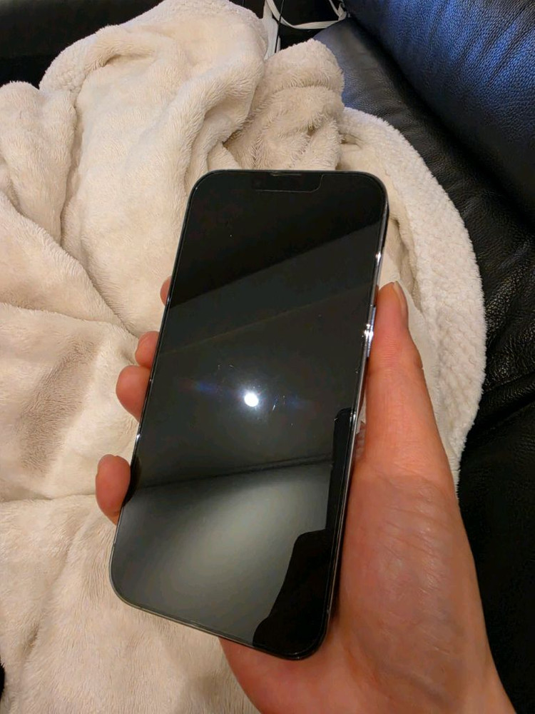 아이폰 13 Pro 시에라 블루 256GB(배터리100%) 이미지