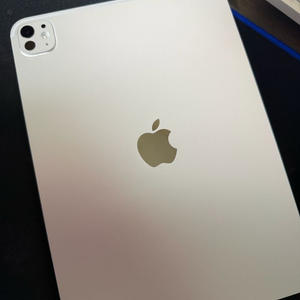 아이패드 프로 11인치 m5 256gb 실버 애캐플 판매합니다 이미지