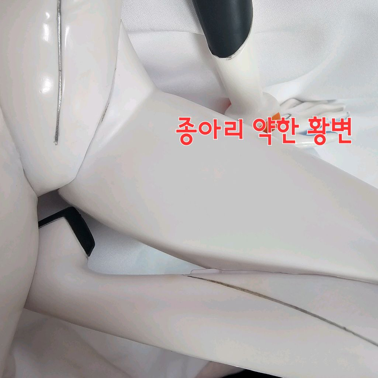에반게리온 제일복권 히로인즈 아야나미 레이 B상(무배) 이미지