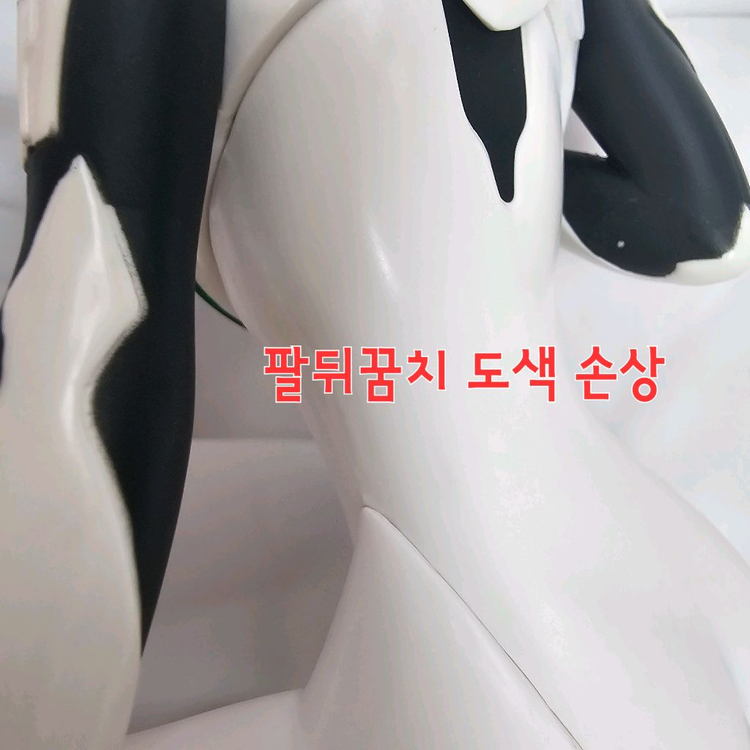 에반게리온 제일복권 히로인즈 아야나미 레이 B상(무배) 이미지