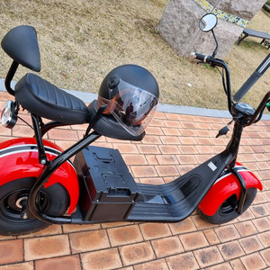 필립스 할리2인용 전기스쿠터 이미지