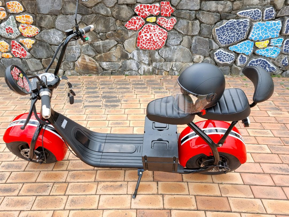 필립스 할리2인용 전기스쿠터 이미지