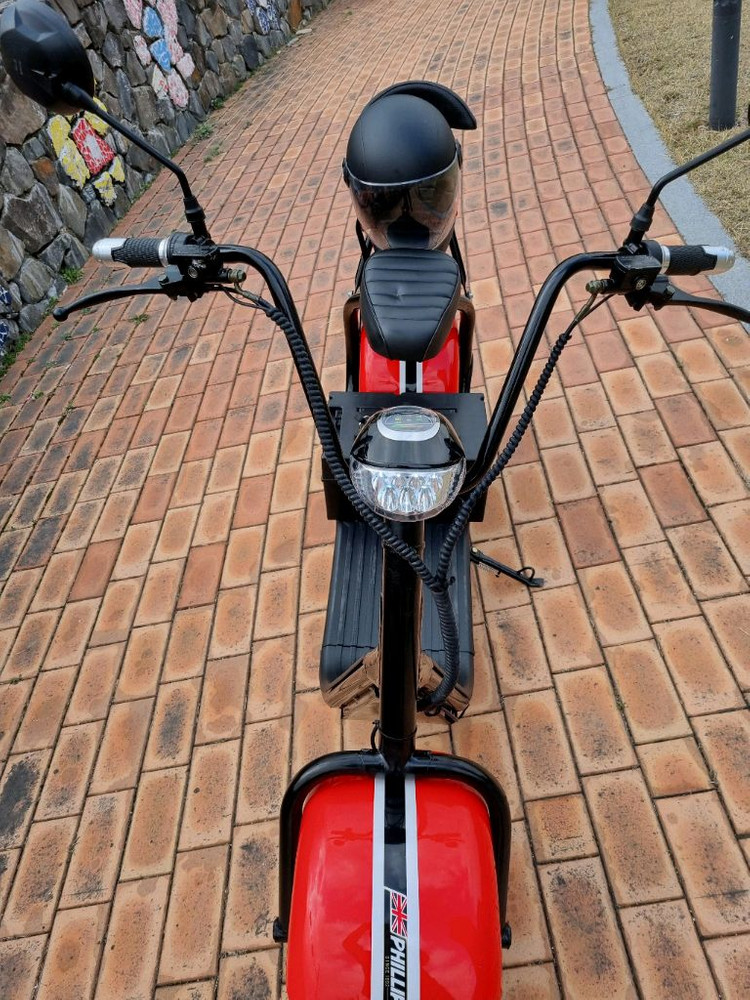 필립스 할리2인용 전기스쿠터 이미지