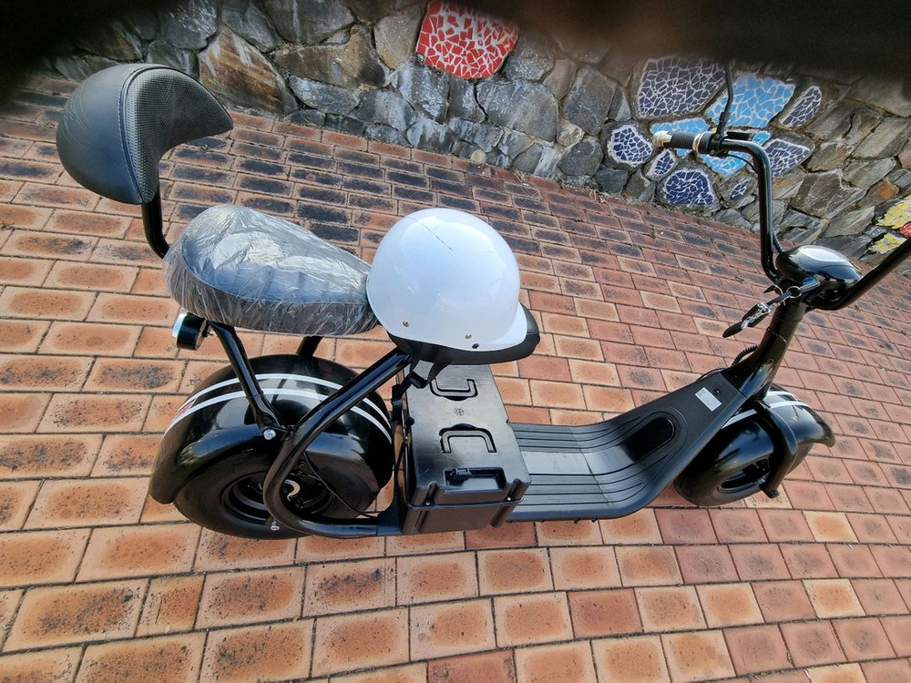 필립스 할리2인용 전기스쿠터 이미지