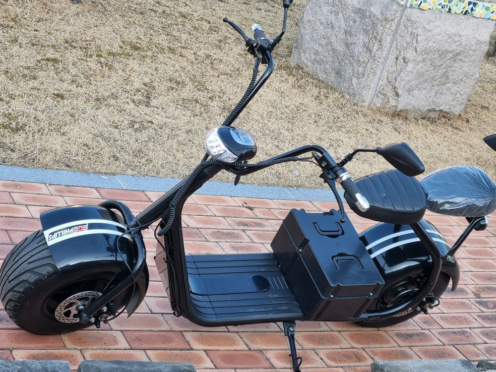 필립스 할리2인용 전기스쿠터 이미지