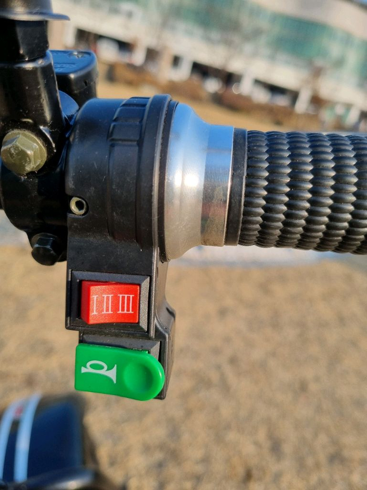 필립스 할리2인용 전기스쿠터 이미지