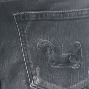 톰브라운강아지 청바지 이미지