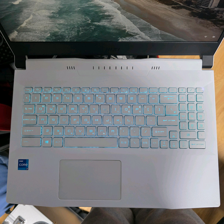msi 게이밍노트북. i7 11세대rtx3060 이미지