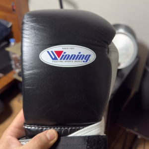 워닝 레이스 복싱글러브 12온스 커스텀 풀박 이미지