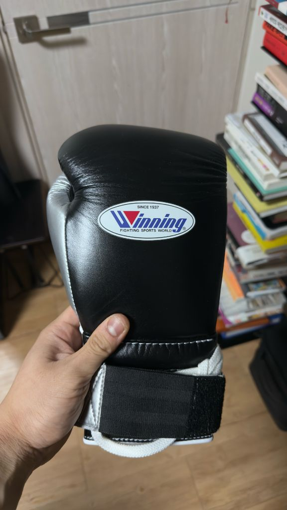 워닝 레이스 복싱글러브 12온스 커스텀 풀박 이미지