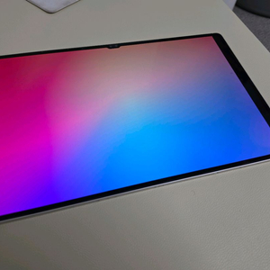 갤럭시탭 s9 울트라 wifi 256gb 이미지