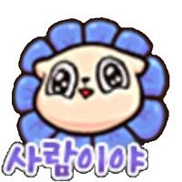 알로항 머니 싸게팔아요 이미지