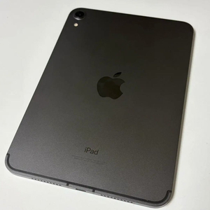 아이패드 미니6 스페이스그레이 256 셀룰러 이미지