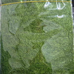 ps5 버서커 카잔 위례 성남에서 구매하고싶어요 이미지