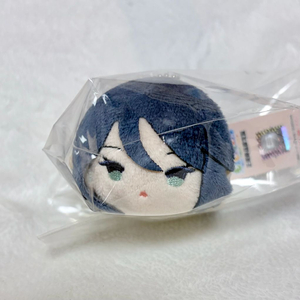 프로세카 프세카 호시노 이치카 모찌마스 이미지