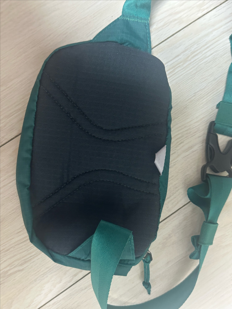 파타고니아 미니 힙색 가방 그린 이미지