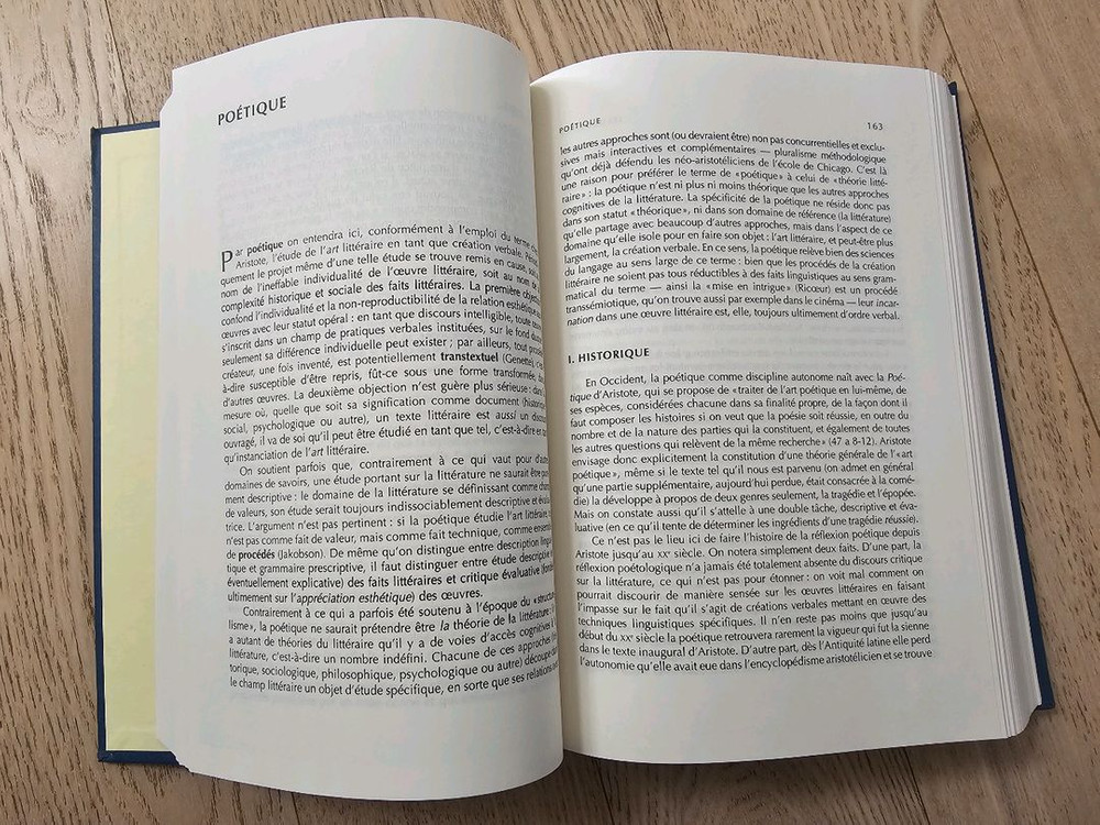 신 언어학사전 프랑스판 원서 이미지