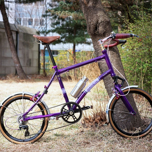 다혼 스무스하운드 리스톨레이션 이미지