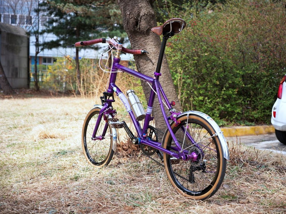 다혼 스무스하운드 리스톨레이션 이미지