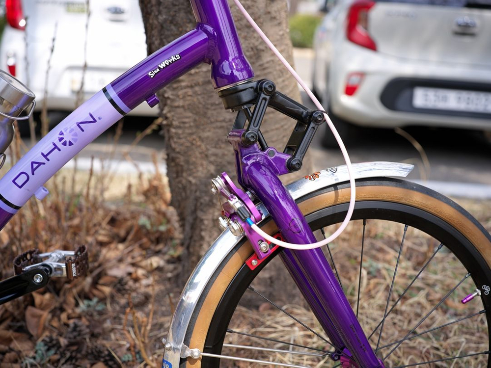 다혼 스무스하운드 리스톨레이션 이미지