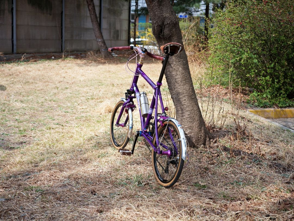 다혼 스무스하운드 리스톨레이션 이미지