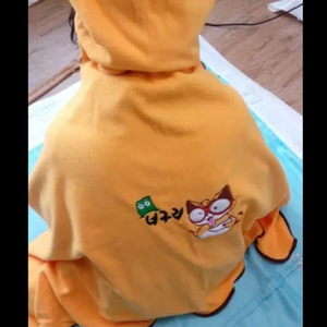 너구리 망토 이미지