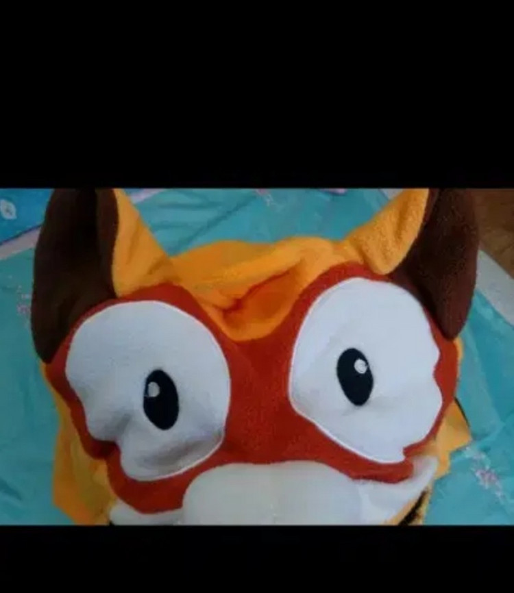 너구리 망토 이미지