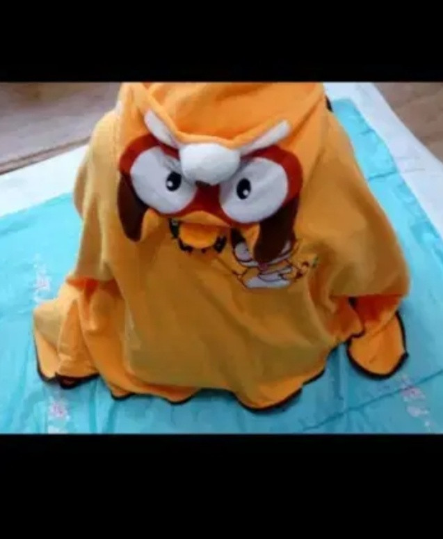 너구리 망토 이미지