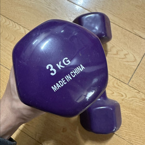 3kg 덤벨 한쌍 5,000원 이미지