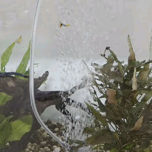 휴대용 기포기 이미지