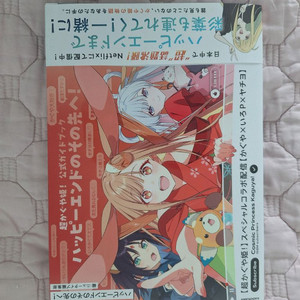 초카구야공주 가이드북 이미지