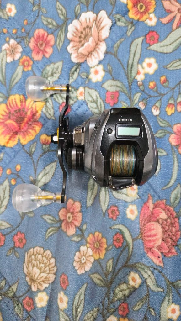 염월프리미엄 151PG 이미지