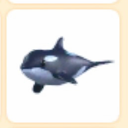 입양하세요 범고래 펫 이미지