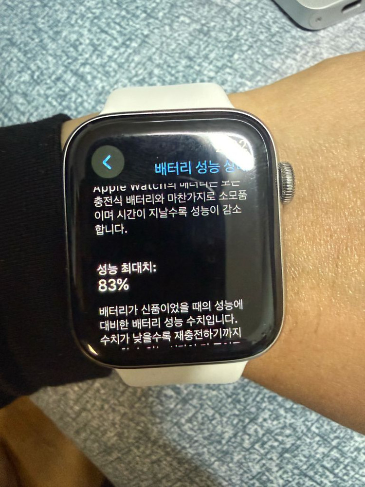 애플워치4 에르메스 44mm 이미지
