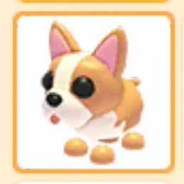 입양하세요 불독 펫 이미지