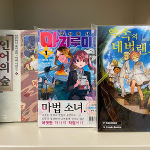 약속의 네버랜드1/주식회사 마지루미에1/인어의 숲1 이미지