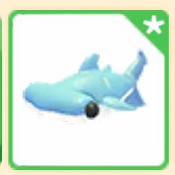 입양하세요 귀상어 펫 이미지