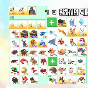 입양하세요 펫 팔아요 이미지