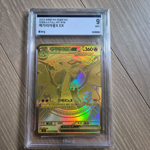 포켓몬 카드 메가리자몽X ex mur 이미지