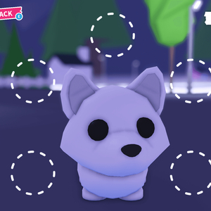 입양하세요 펫 북극여우 ㅍㅍ 이미지