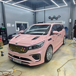 2019 더뉴카니발 이미지