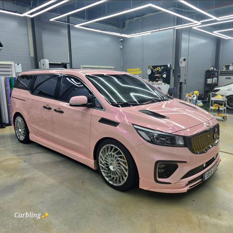 2019 더뉴카니발 이미지