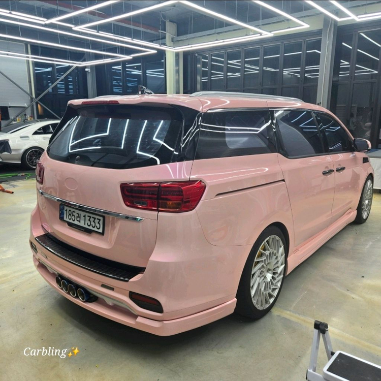 2019 더뉴카니발 이미지